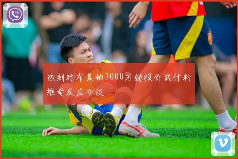 热刺对布莱顿3000万镑报价武什科维奇反应冷淡