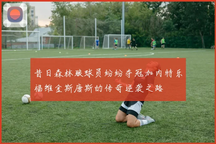 昔日森林狼球员纷纷夺冠加内特乐福维金斯唐斯的传奇逆袭之路