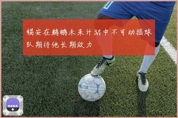锡安在鹈鹕未来计划中不可动摇球队期待他长期效力