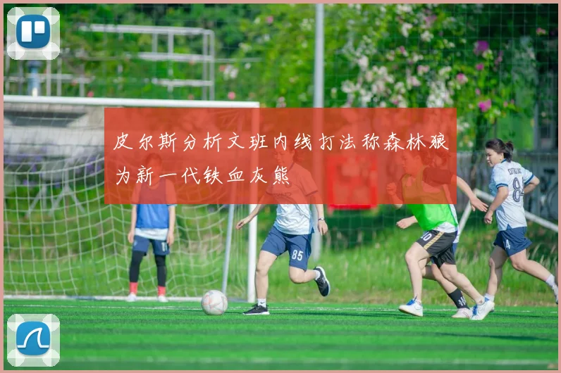 皮尔斯分析文班内线打法称森林狼为新一代铁血灰熊